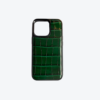 GREEN HORNET Crocodile Case